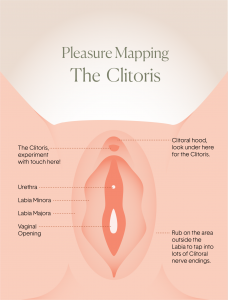 Read more about the article Where is the Clitoris? Asked & Answered.